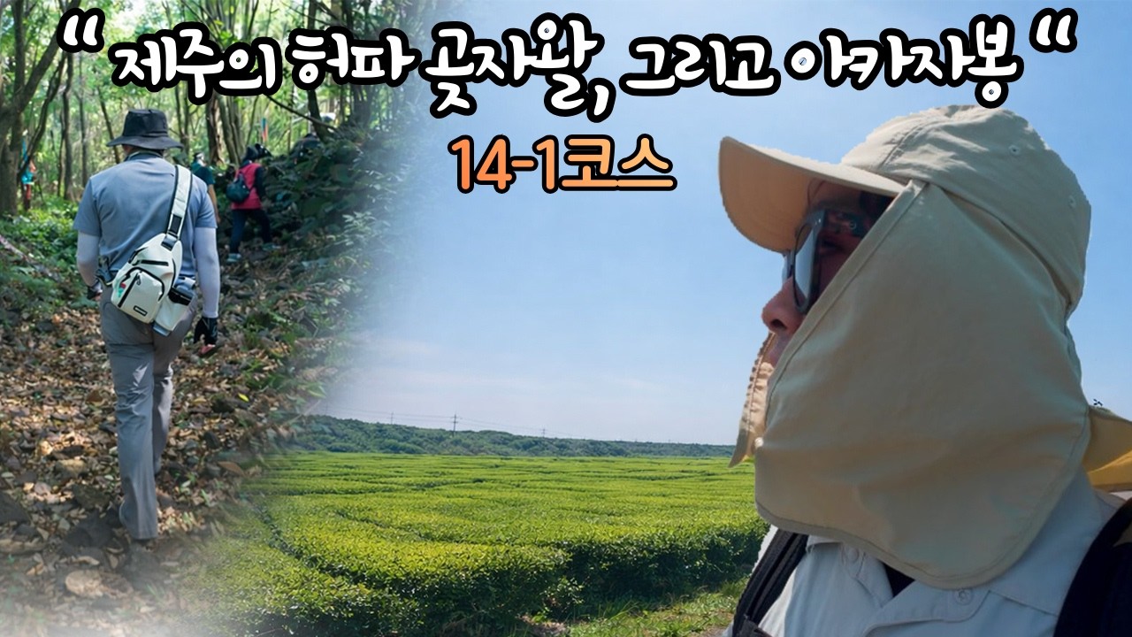 [제주의 허파 곶자왈로 향하는 코스ㅣ제주올레 완주 도전기ㅣ올레14-1코스] - EP11