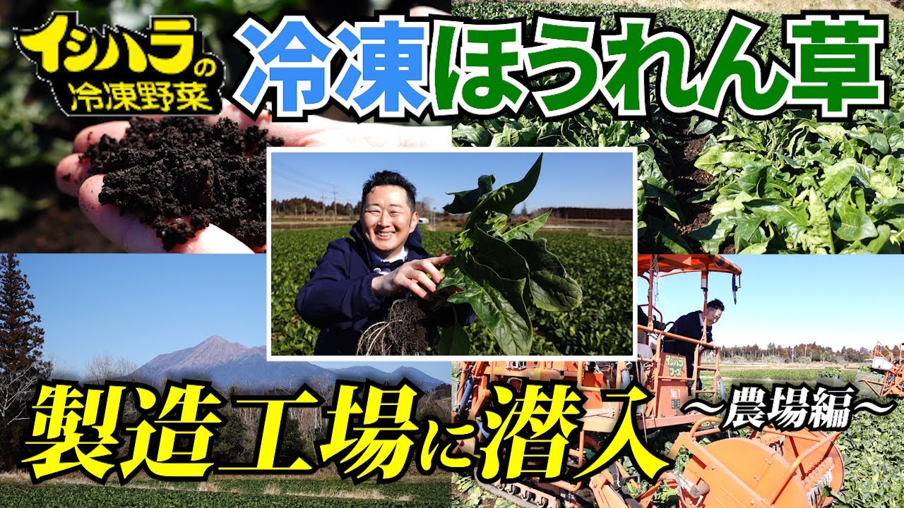 Visiting a Japanese Frozen Spinach Manufacturing Factory! [Farm in