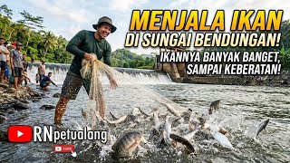 HEBOH!! Menjala Ikan di Sungai Bendungan, Hasilnya Di Luar Dugaan 😱 Banyak Pemancing Ikut Kaget