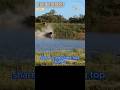 Wildebeest vs Lion 🐃 Speed Isn’t Enough… This Is How They Really Escape
