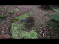 End of video