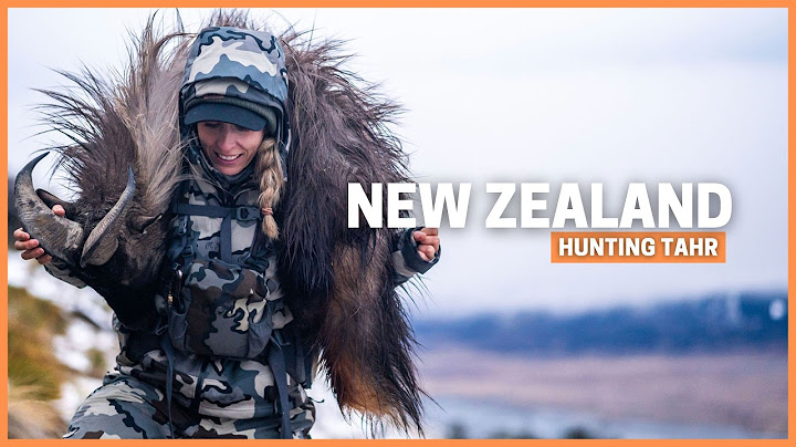 Two Huntresses, One Mountain, and a Tahr to Remember