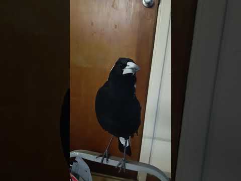 You making life harder Floyd