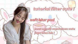 cara bikin filter soft blur psd cuma pake 2 efek screenshot 1