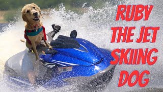 Crazy Doodle on a Wave Runner!