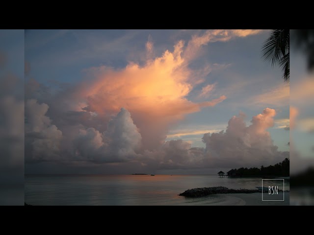 Timofiy Starenkov - Furaha