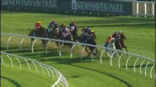 Show County Quality 2024 - JOLIESTAR (3YO  Qlty G3) Group 3 Randwick 24 August