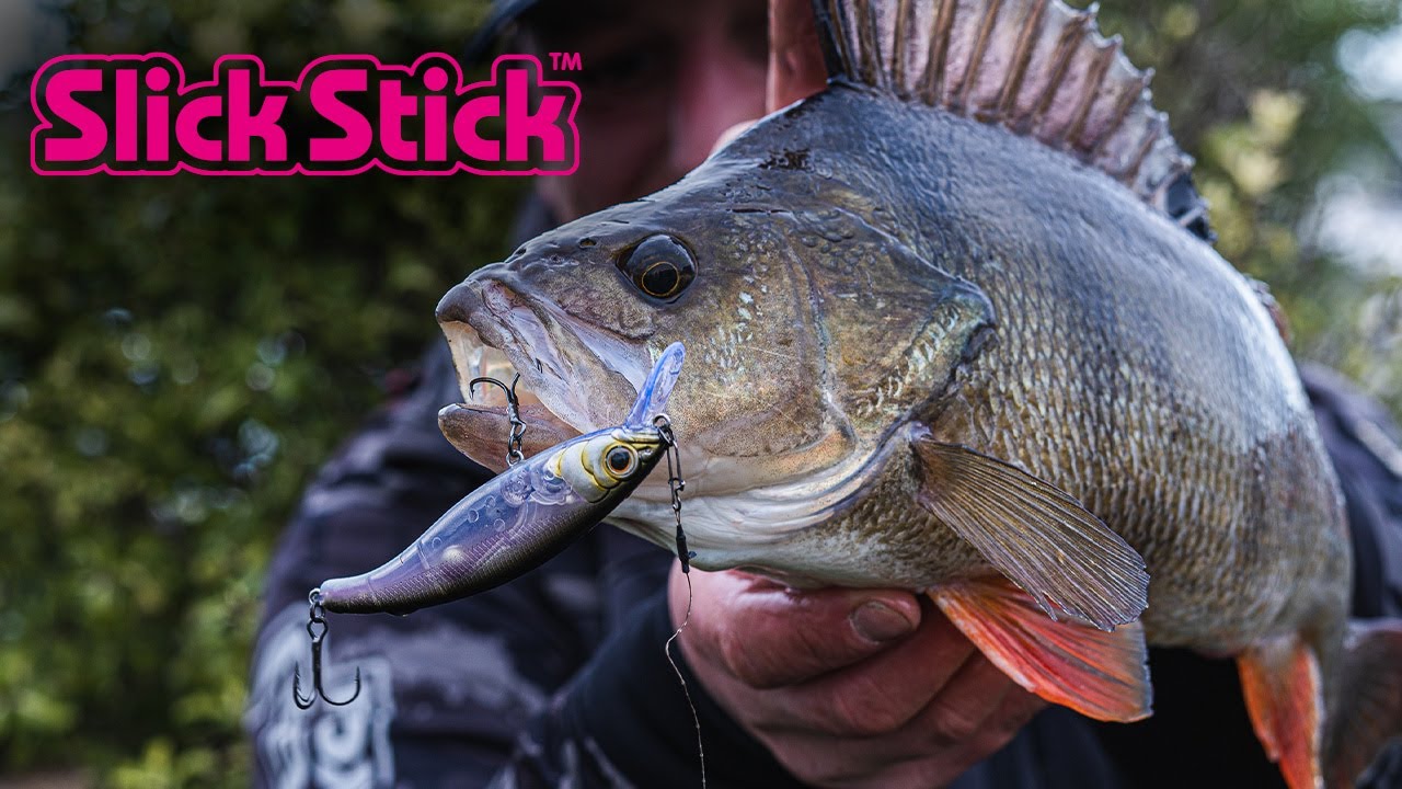 Fox Rage Slick Stick – Wobbler 4 Cm Per Trota, Esca Artificiale Twitchbait Da Bar