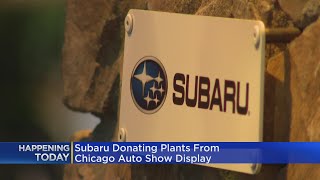 Subaru donating plants from Chicago Auto Show display