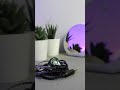 BUKAN BUAT AUDIOPHILE! EARPHONE KALEM QKZ NUNE #shorts #review #iem #audio