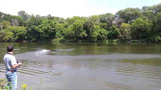 Rc Speed Boat Joysway Bullet V3 Quick Test With Battery Trays Relocated
