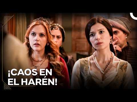 Quien Se Equivoque Con Hurrem Sultan Se Encontrará Con Hatice