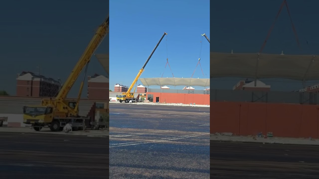 With membranes as wings, we stretch the beauty of light and shadow;