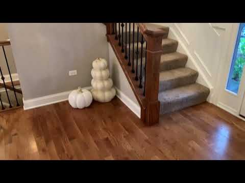 1772 Brogan Drive, New Lenox, IL home video tour
