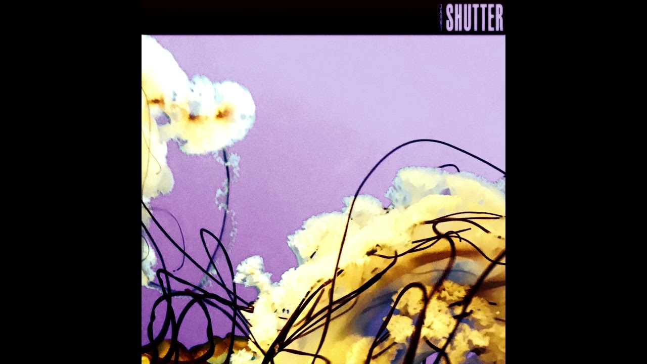 Nick Shutter — Carve (Full Album) — Harsh noise wall