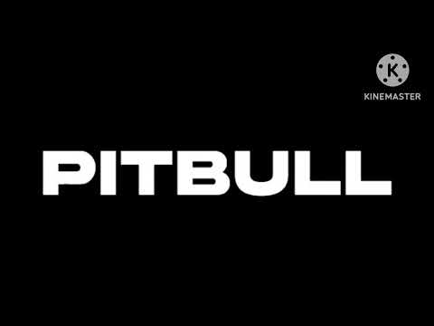 Pitbull Ft. John Ryan: Fireball (PAL/High Tone Only) (2014)
