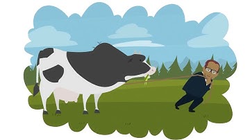 Why You Need Constructive Agility