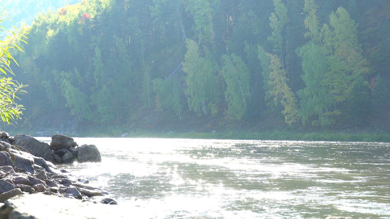 Зеленогорск. Осень 2018г. Река Кан за НФС