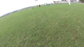 First swoop video