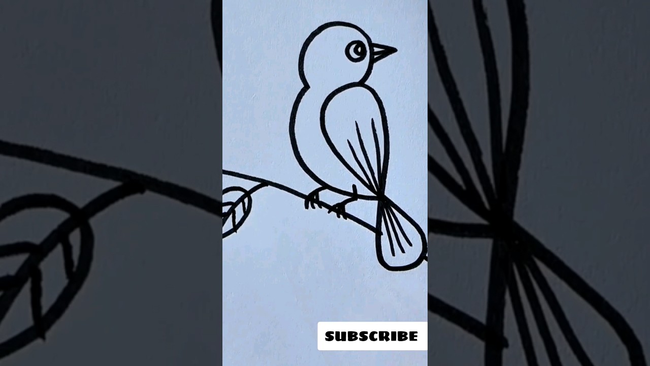 Easy cute Bird drawing 