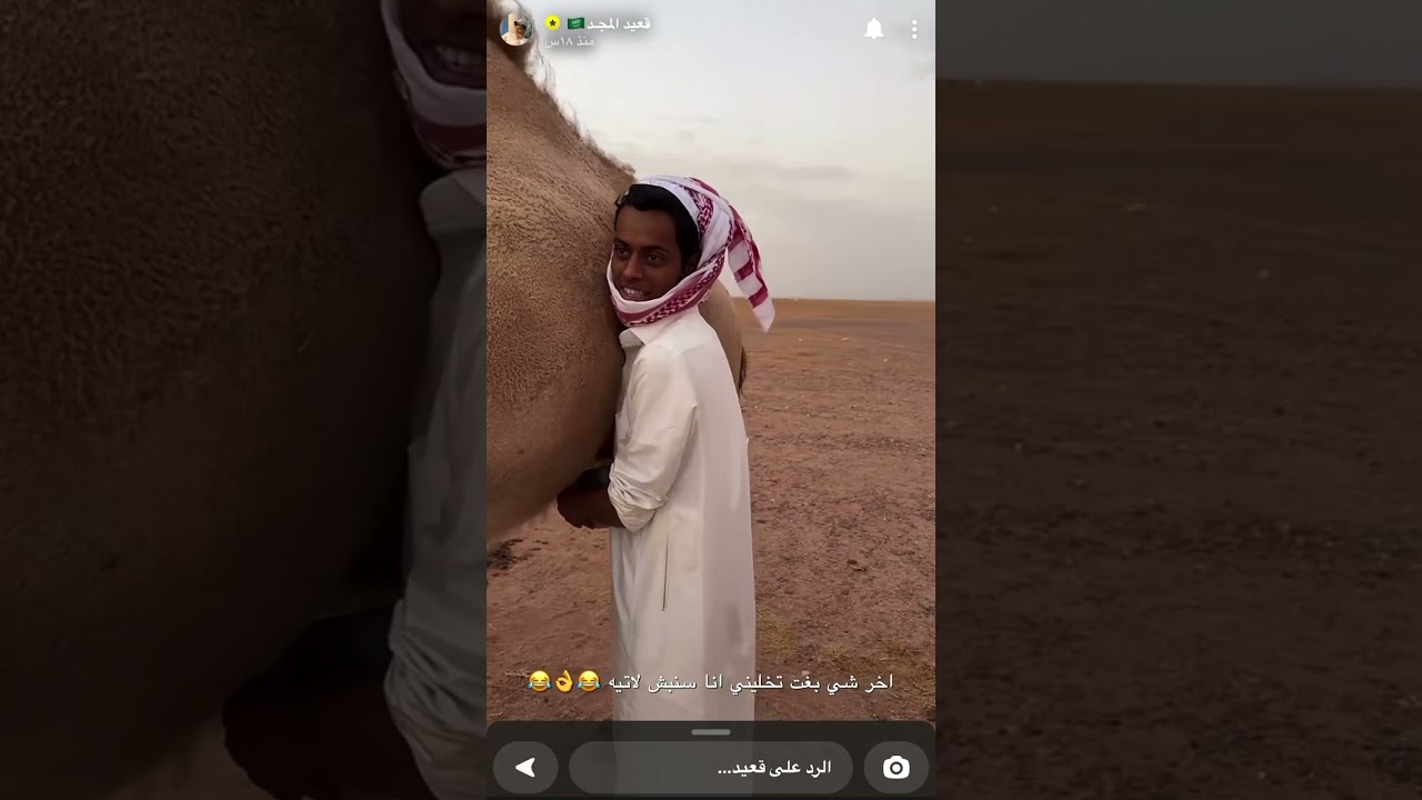 قعيد المجد عند ابوي 😍