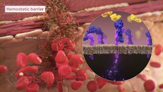 3D Medical Animation: Cancer ADC MOA | AXS Studio