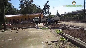 Toàn cảnh hoạt động trồng cây công trình của Cây Xanh Gia Nguyễn trong doanh trại quân đội