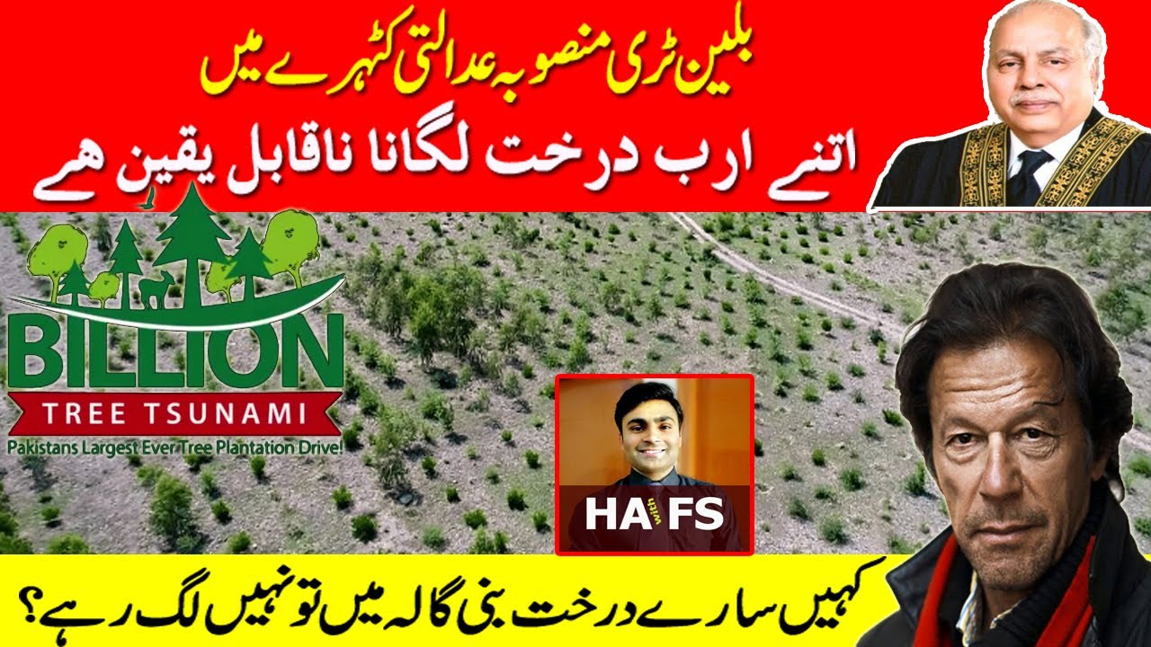Billions Tree Tsunami Exposed | Chief Justice Took Notice | HAFS |Harf Amrat with Faaran Shahid
