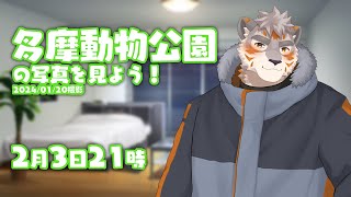 【雑談配信】多摩動物公園の写真を見よう！2024/01/20撮影【Vtuber/凍凪コウガ】