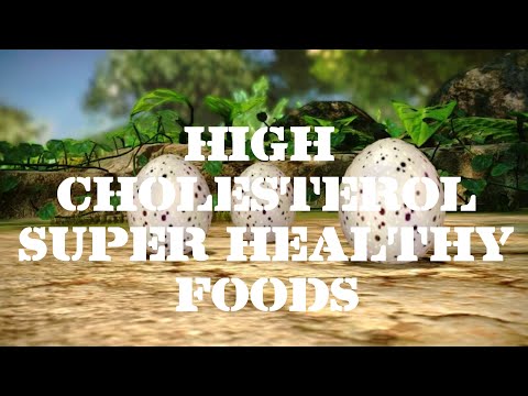 High Cholesterol Foods That Are Super Healthy