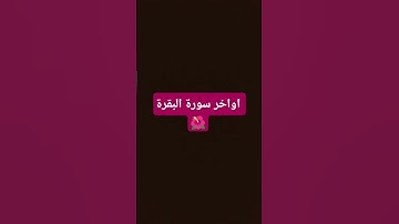 #اواخر سورة البقرة #سورة_البقرة #لايك #اكسبلور #المصحف #القرآن_الكريم #الجزائر