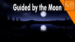 Nicolas Dominique - Guided by the Moon