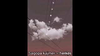 Sagopa kajmer ~herkes (slowed +reverb)
