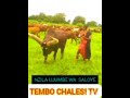 NZILA UJUMBE WA SALOYE 13 4 2024 0787463161 NZILA UJUMBE WA SALOYE 13 4 2024 0787463161
