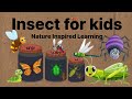 Insect names for kids | abcd | ABCD | cartoons | colours | words | nature | learn | insect sounds |