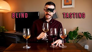 Learning To Blind Taste Wine | 4 Different Wine Styles