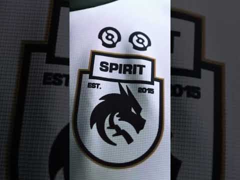 Видео: AVAILABLE NOW - TI12 Champion jersey #teamspirit