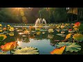 Calm Vibes Live – Soothing Instrumental Music for Relaxation