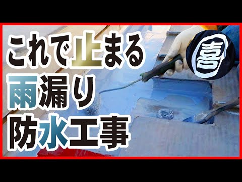 新品！雨漏りを防ぐ　DVD講座　日経ホームビルダー編　職人 雨漏りを防ぐ DVD講座 日経ホームビルダー編 職人