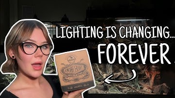 Reptile Lighting Will NEVER Be The Same...