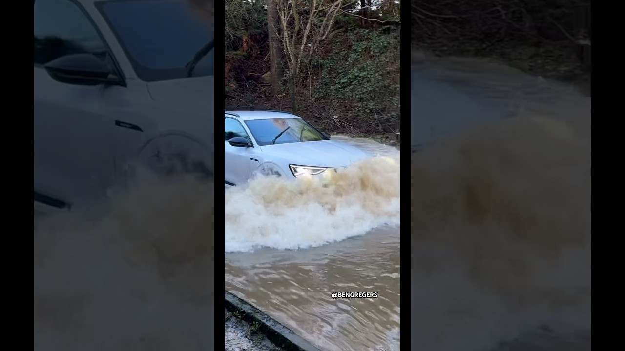 Not Another…😂🤦🏻‍♂️ 