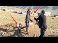 Fight Over Land Ownership Renting Out Land Without The Owner S Permission 