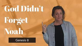 The Tiny Detail in Genesis 8 Most Christians Skip Over