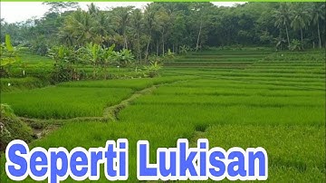 NYATA!? SUASANA PEDESAAN DERIK #desa #review