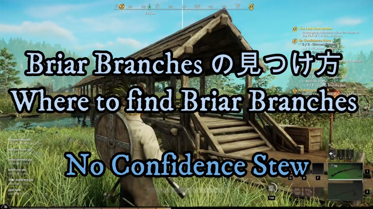 Briar Branches の見つけ方 / Where to find Briar Branches 【New World】