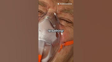 What If Earth’s Gravity Suddenly Disappeared for 5 Seconds?