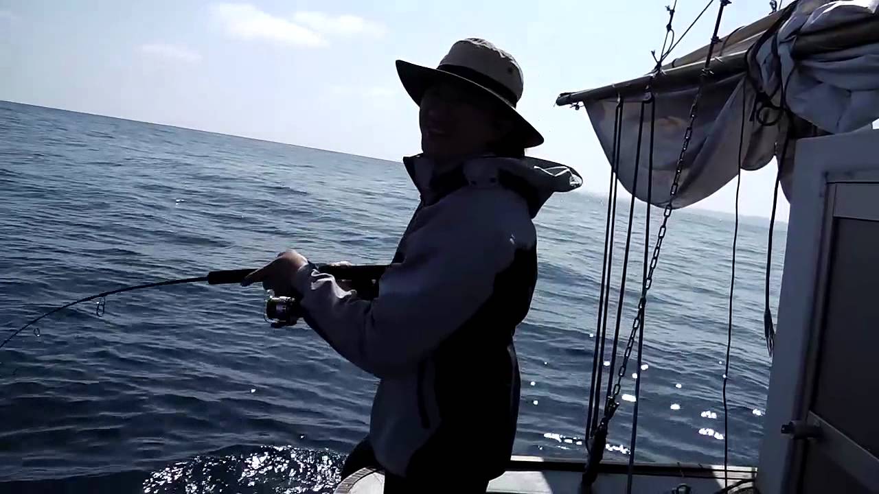 プラチナジグ　セミロック　10本セット セミロック AJ別注カラー プラチナジグ PLATINUM SEMILOCK AMBERJACK