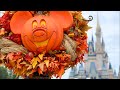🎃 LIVE: Magic Kingdom | Pumpkin Spice Lattes and Rides!