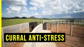 Conheca mais detalhes sobre o Curral Anti-Stress Panucci e seu interior
