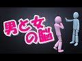 男と女の脳の違い/恋愛のすれ違いには明確な理由があった【脳科学講義①】